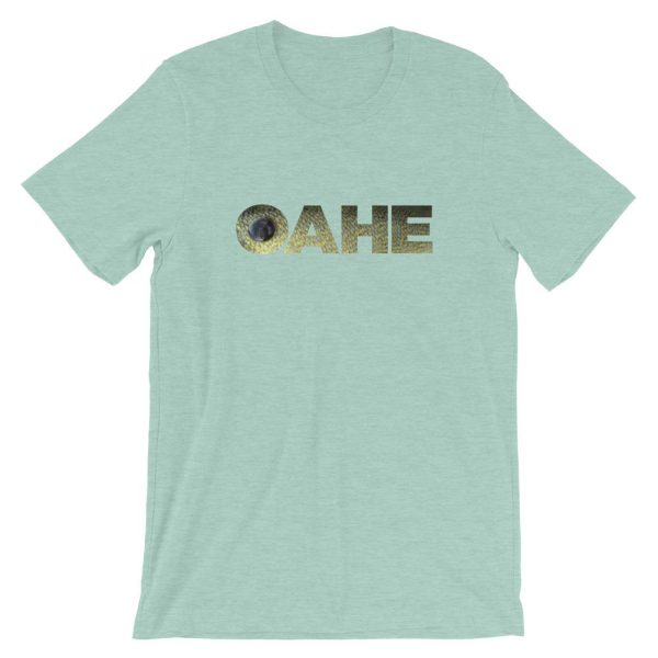 Lake Oahe Walleye T-Shirt